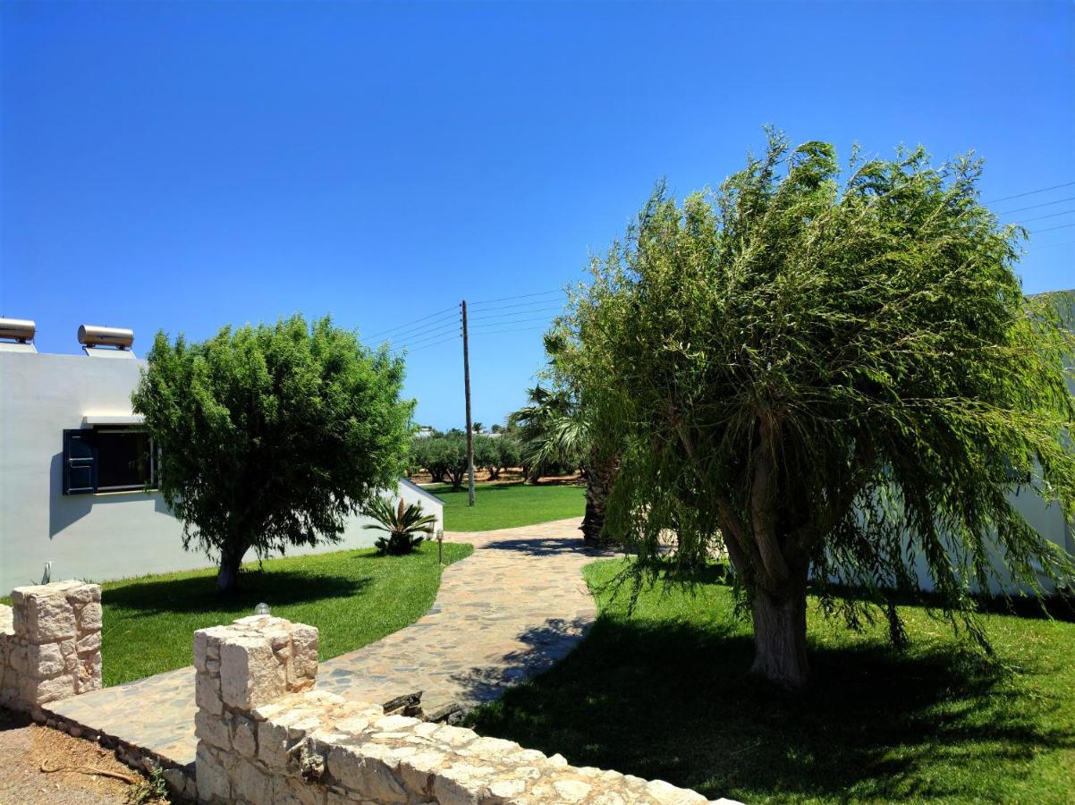 Fotini Apartments Palekastro Exterior foto